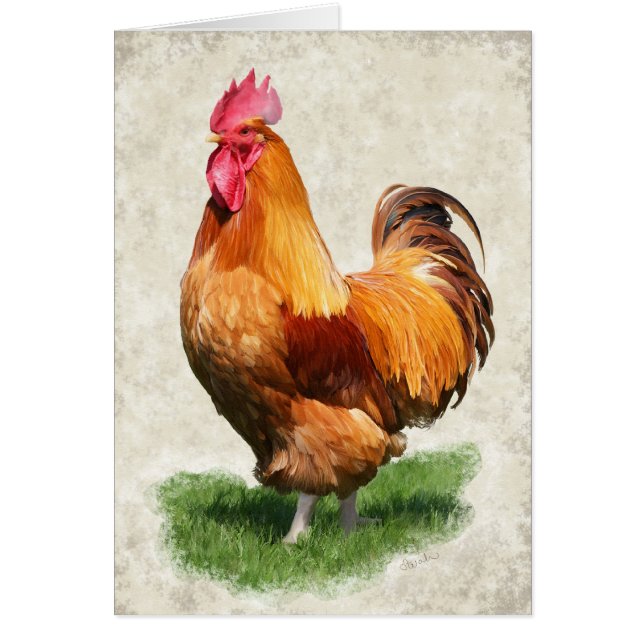Tarjeta del pollo (Frente)