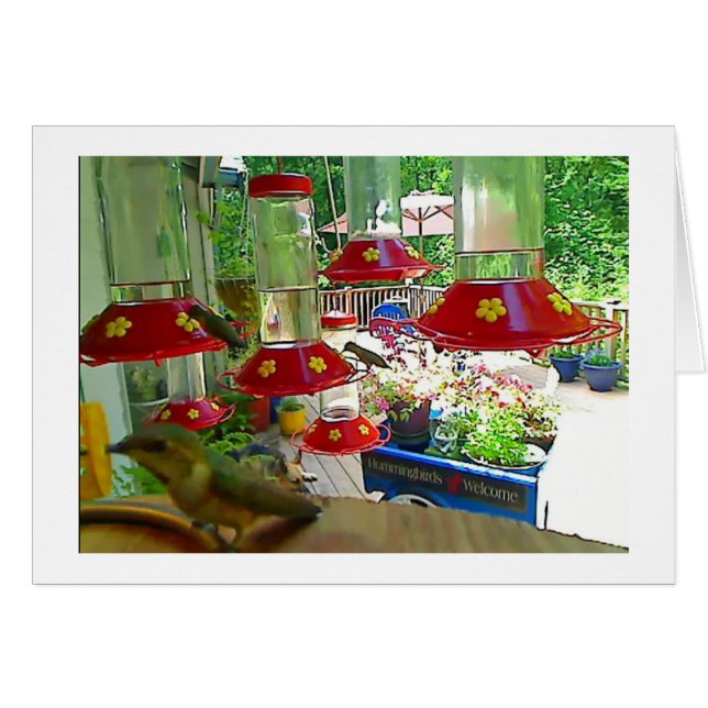 Tarjeta del pórtico del colibrí (Anverso (Horizontal))