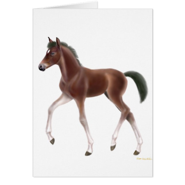 Tarjeta del potro el trotar (Frente)