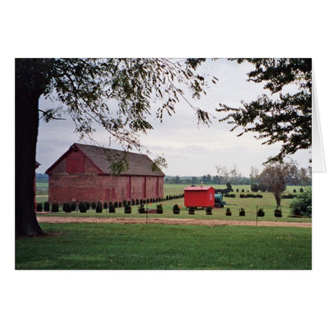 Tarjeta del prado de la plantación (Anverso (Horizontal))