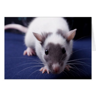 Tarjeta del problema