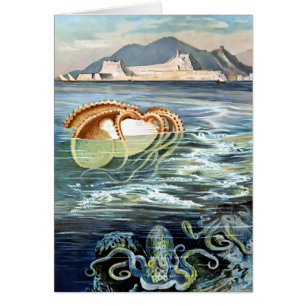 Tarjeta del pulpo y del calamar del vintage