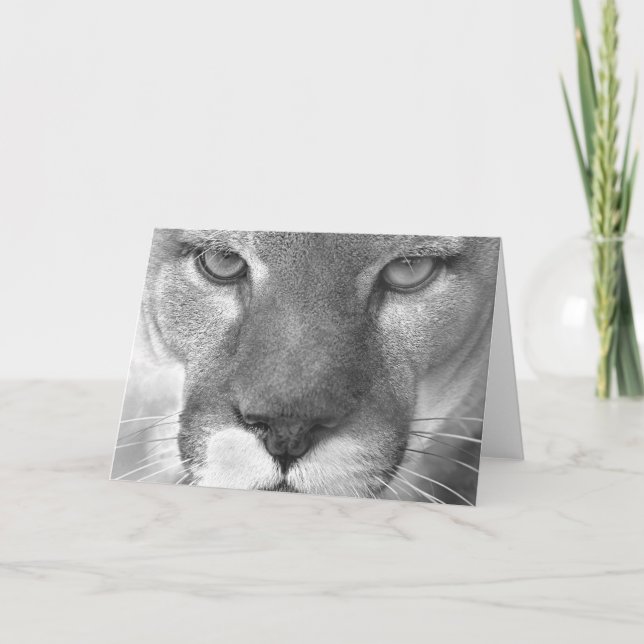 Tarjeta del puma #1-Greeting (Anverso)
