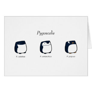 Tarjeta del Pygoscelis