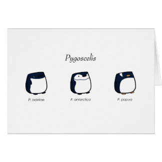 Tarjeta del Pygoscelis