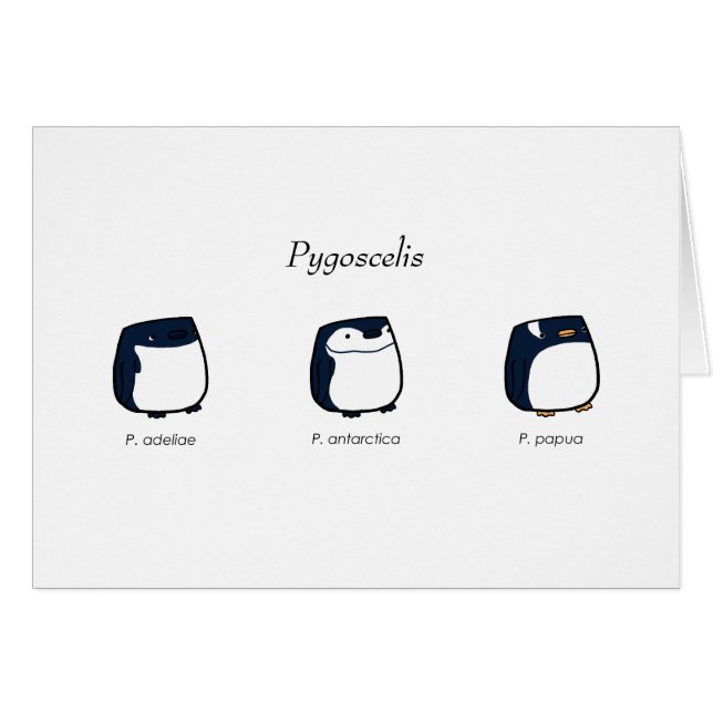 Tarjeta del Pygoscelis (Anverso (Horizontal))