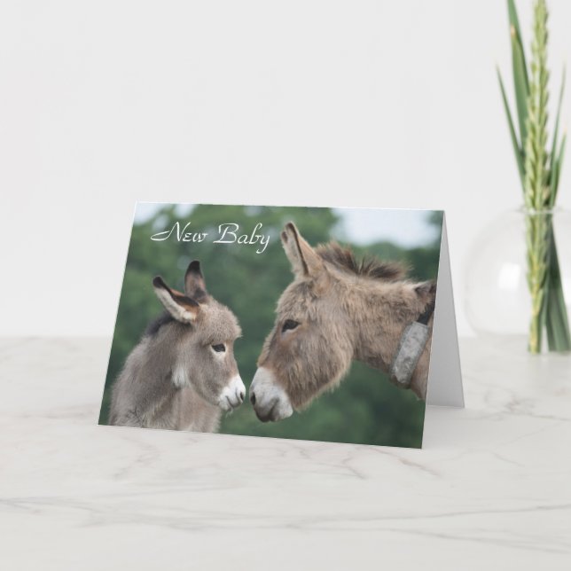 Tarjeta del recién nacido del burro (Anverso)