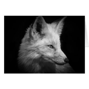 Tarjeta del retrato del Fox