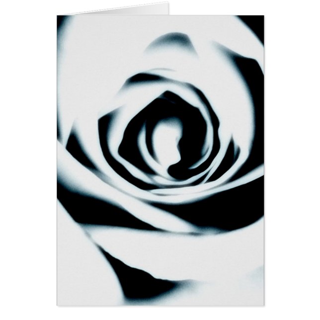 Tarjeta del rosa blanco (Frente)