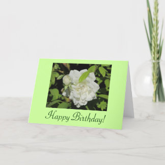 Tarjeta del rosa blanco del feliz cumpleaños