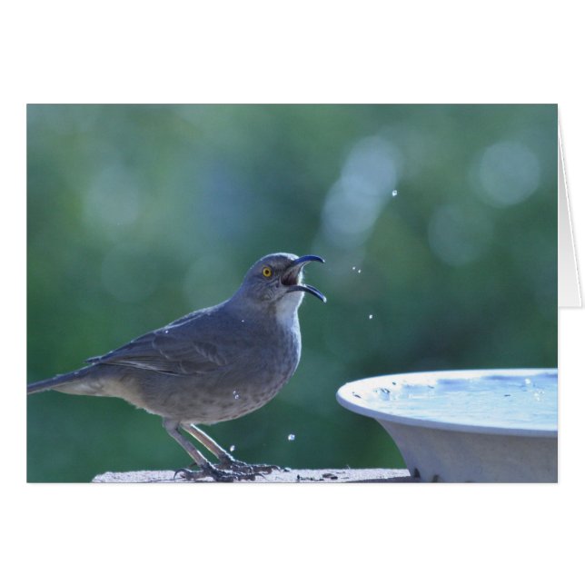 Tarjeta del salpicadero de Thrasher (Anverso (Horizontal))