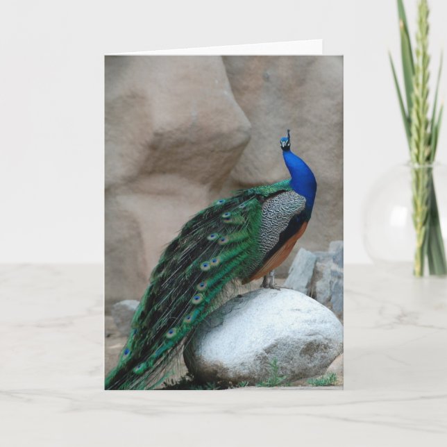Tarjeta del saludo o de nota del pavo real (Anverso)