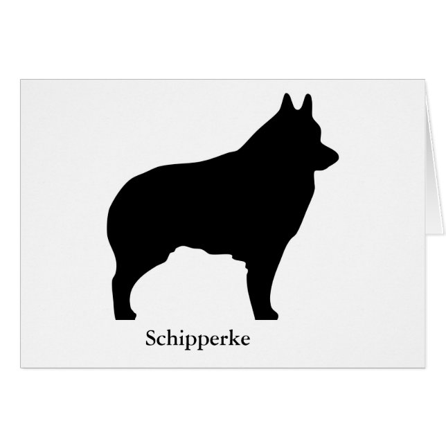 Tarjeta del Schipperke (Anverso (Horizontal))