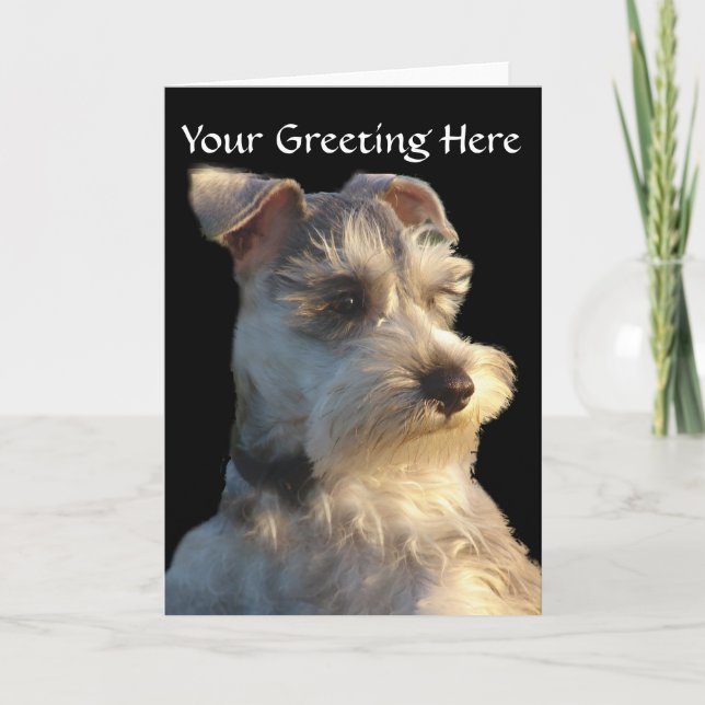 Tarjeta del Schnauzer miniatura (Anverso)