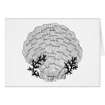 Tarjeta del Seashell de Listakora con el sobre