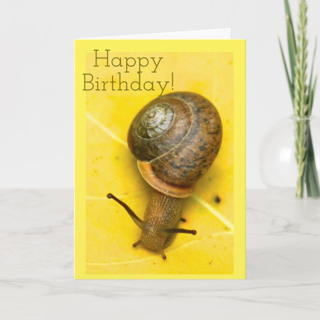Tarjeta del snail mail (Anverso)