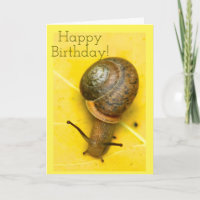 Tarjeta del snail mail