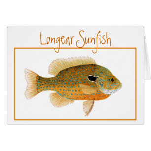 Tarjeta del Sunfish de Longear