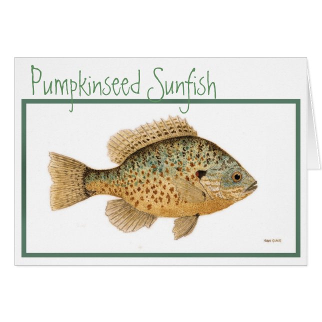 Tarjeta del Sunfish de Pumpkinseed (Anverso (Horizontal))