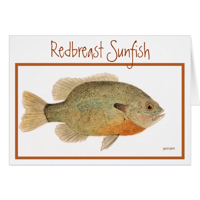Tarjeta del Sunfish de Redbreast (Anverso (Horizontal))
