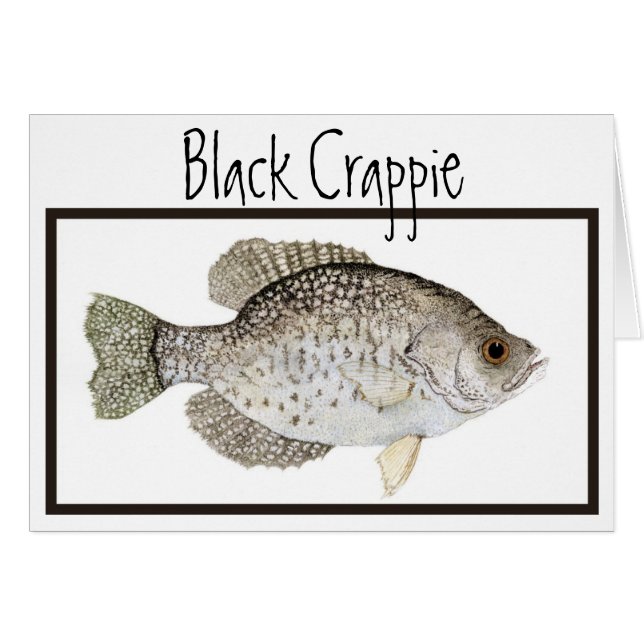 Tarjeta del tipo de pez negro (Anverso (Horizontal))