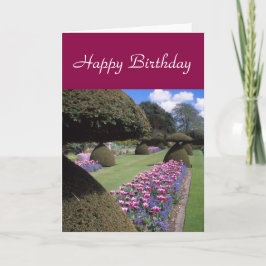 tarjeta del Toadstool-topiary