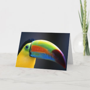 Tarjeta del Toucan-Saludo