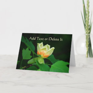 Tarjeta del tulipán del árbol de álamo