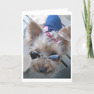 tarjeta del yorkie