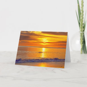 Tarjeta Delfín al atardecer, Fort Myers Beach, Florida