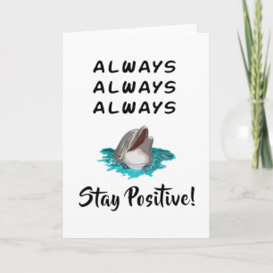 Tarjeta Delfín delfines marinos animal de agua regalo del 