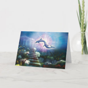 Tarjeta Delfínes de Nori