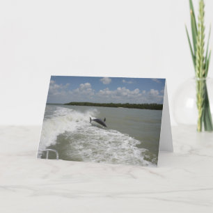 Tarjeta Delfines surfeando tras el barco