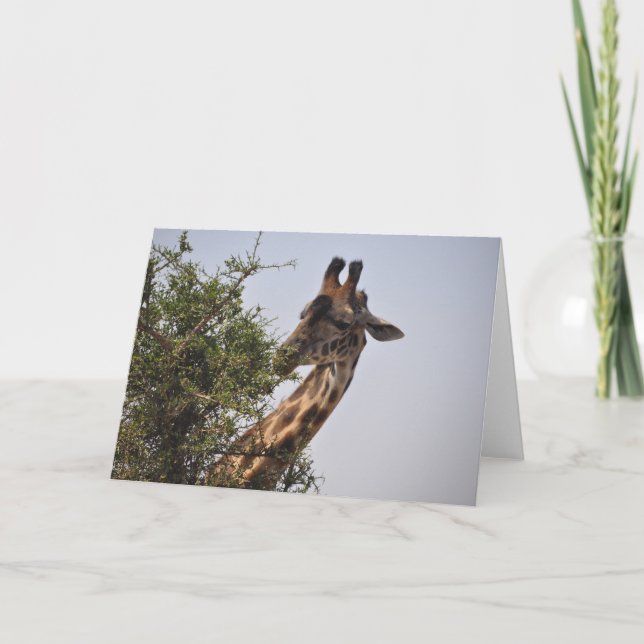 Tarjeta Delicado (Anverso)