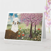 Delicias de Llama Springtime