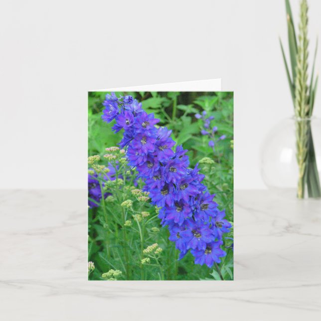 TARJETA DELPHINIUM AZUL BRILLANTE NOTECARD (Anverso)