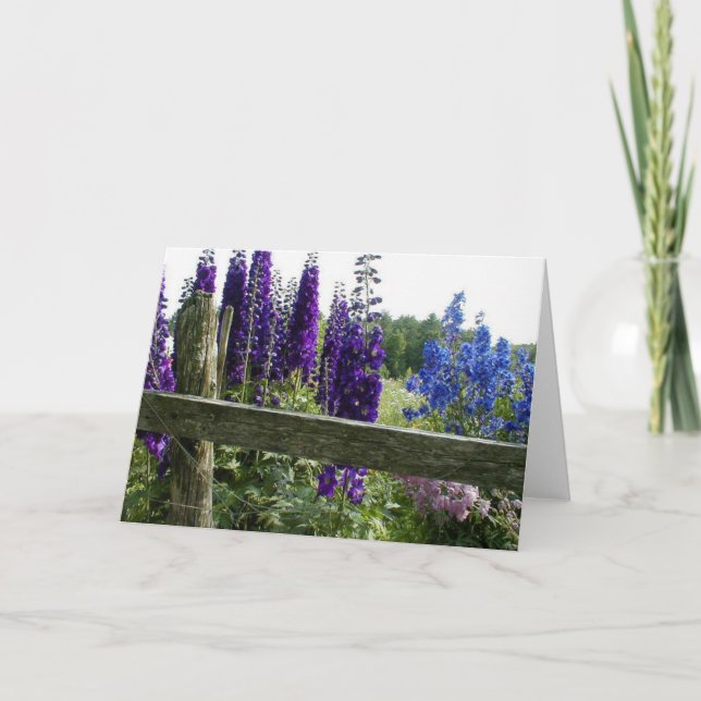 Tarjeta Delphiniums (Anverso)