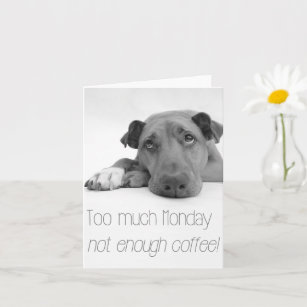 Tarjeta Demasiado lunes, no suficiente café - Perro somnol