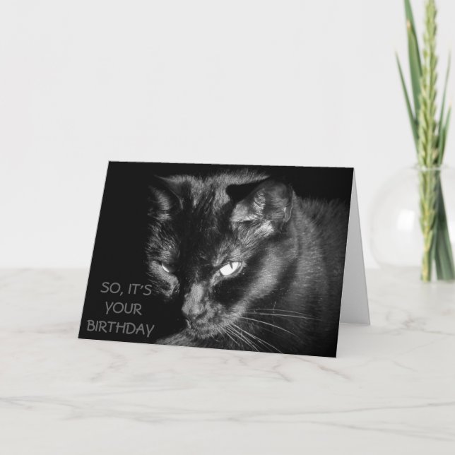 Tarjeta ¿Demasiado viejo alimentar el gato? (Anverso)