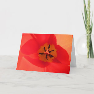 Tarjeta Dentro de un tulipán