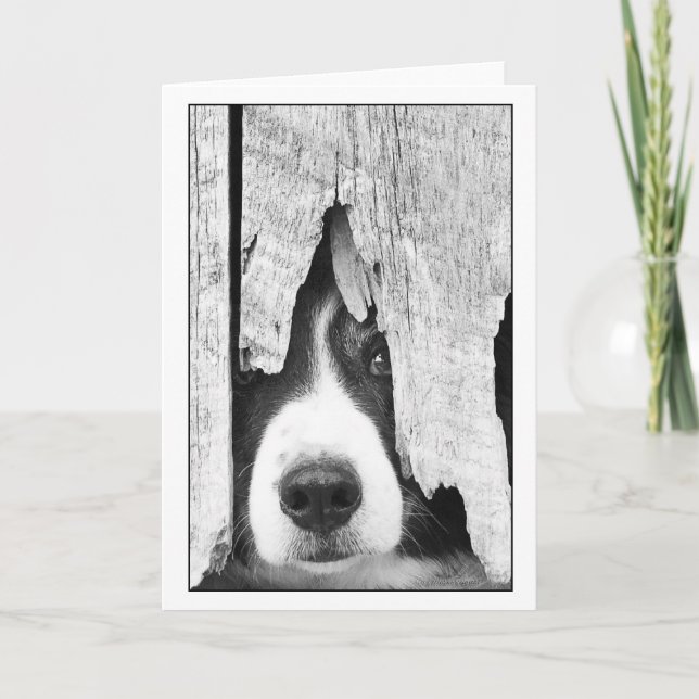 Tarjeta Derivación (Anverso)