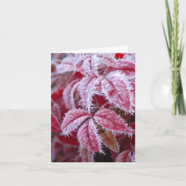 Tarjeta Derramas el saludo de la helada