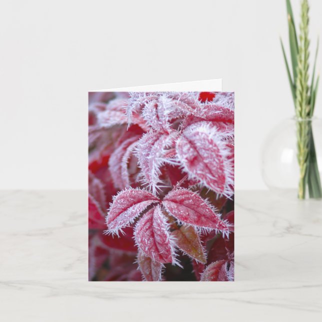 Tarjeta Derramas el saludo de la helada (Anverso)