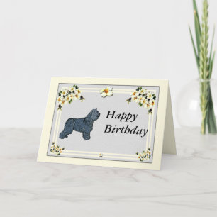 Tarjeta DES Flandres - cumpleaños de Bouvier