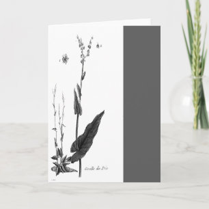 Tarjeta DES Prés de Oseille