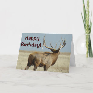 Tarjeta Desafiador de los alces de E21 Bull