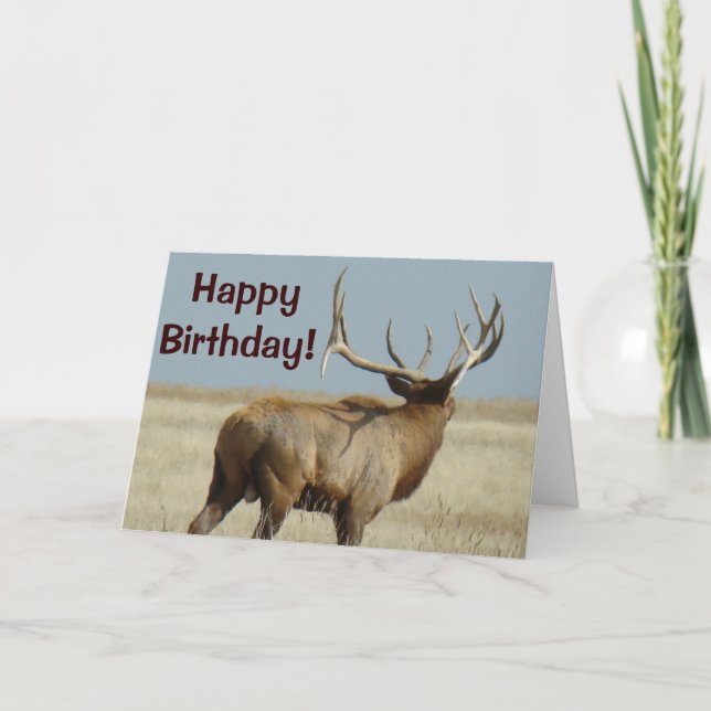 Tarjeta Desafiador de los alces de E21 Bull (Anverso)