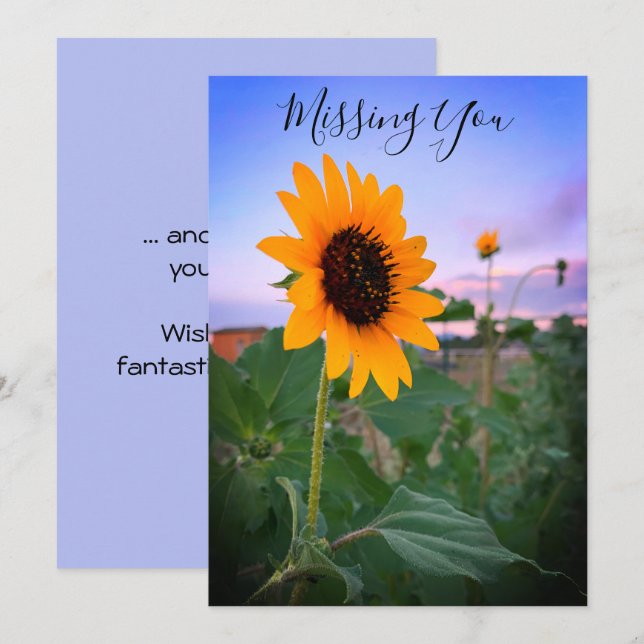 Tarjeta Desaparecido girasol en el Personalizado de fotos  (Anverso / Reverso)