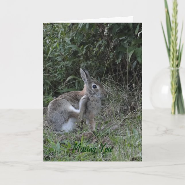 Tarjeta Desaparecido usted/conejo (Anverso)