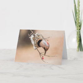 Tarjeta Desayuno Dogwood Berry